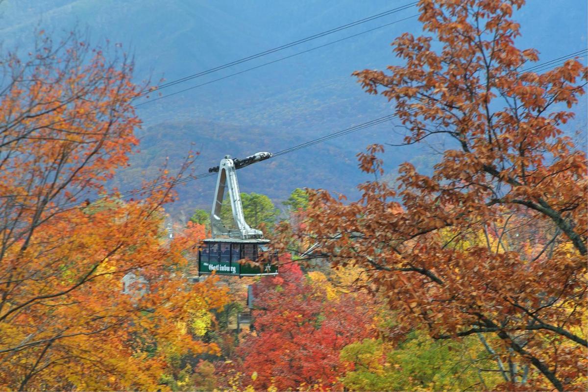 Knotty & Nice Holiday Home Gatlinburg Exteriör bild